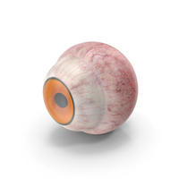 Realistic Tarsier Eye PNG & PSD Images