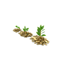 Plant with Green Leaves on a Pile of Coins PNG & PSD Images