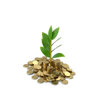 Plant with Green Leaves on a Pile of Coins PNG & PSD Images
