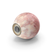 Realistic Dog Eye PNG & PSD Images