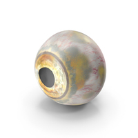 Realistic Fish Eye PNG & PSD Images