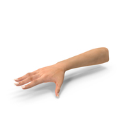 European Woman Hand Base Pose PNG & PSD Images