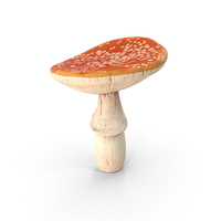 Amanita PNG & PSD Images