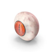 Realistic Mesmerizing Lizard Eye PNG & PSD Images