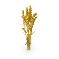 Stylized Wheat PNG & PSD Images