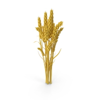 Wheat PNG & PSD Images