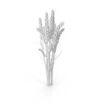 Monochrome Wheat PNG & PSD Images