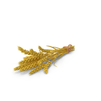 Stylized Wheat PNG & PSD Images