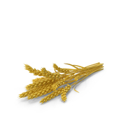 Wheat PNG & PSD Images