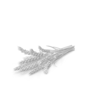 Monochrome Wheat PNG & PSD Images