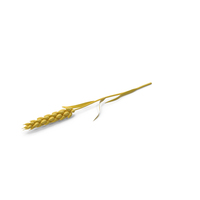 Stylized Wheat PNG & PSD Images