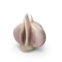 Half Head of Garlic White PNG & PSD Images
