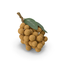 Longan Exotic Fruit Bundle PNG & PSD Images
