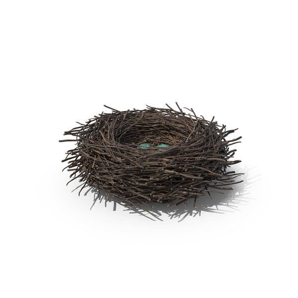 Bird Nest with Eggs PNG & PSD Images