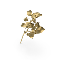 Gold Raspberry PNG & PSD Images