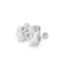 Monochrome Raspberries Heap PNG & PSD Images