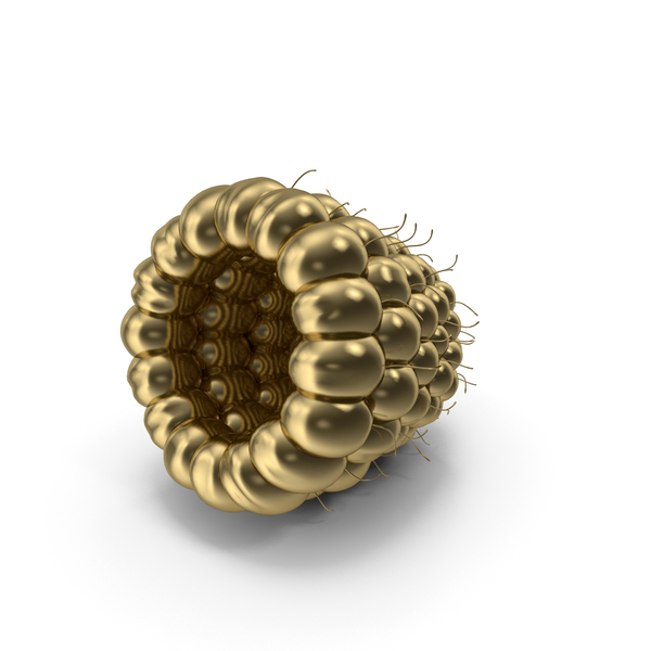Gold Raspberry PNG & PSD Images