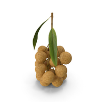 Longan Fruit Branch PNG & PSD Images