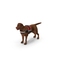 Service Dog with Harness Fur PNG & PSD Images