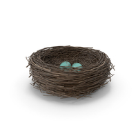 Bird Nest PNG & PSD Images