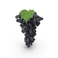 Sweet Sapphire Grapes Wet with Leaf PNG & PSD Images