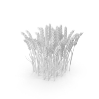 Monochrome Wheat PNG & PSD Images