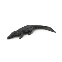 Crawling Black Caiman PNG & PSD Images