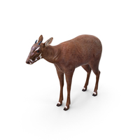 Saola Standart Pose PNG & PSD Images