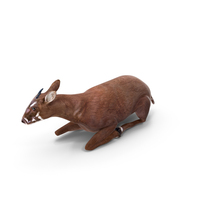 Saola Reclining PNG & PSD Images