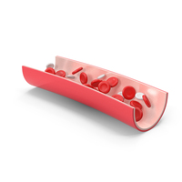 Blood Cells in Vein PNG & PSD Images