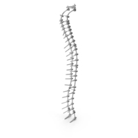 Spine Fixation System PNG & PSD Images
