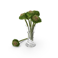 Brassica PNG & PSD Images