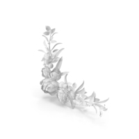 Monochrome Floral Frame PNG & PSD Images