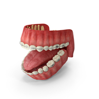 Human Mouth With Self Ligating Transparent Dental Braces PNG & PSD Images