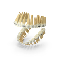 Dentition With Self Ligating Transparent Dental Braces PNG & PSD Images