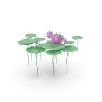 Paper Water Lily PNG & PSD Images
