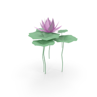 Paper Water Lily PNG & PSD Images