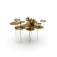 Gold Paper Water Lily PNG & PSD Images