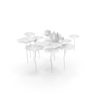 Monochrome Paper Water Lily PNG & PSD Images