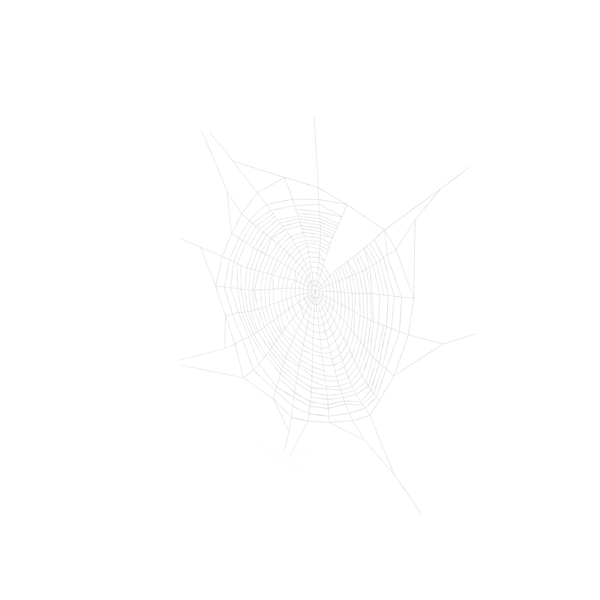 Spider Web in Circle Shape PNG & PSD Images