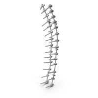 Thoracic Spine Fixation System PNG & PSD Images