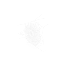 Round Spider Web PNG & PSD Images