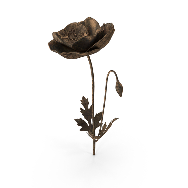 Bronze Poppy PNG & PSD Images