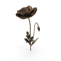 Bronze Poppy PNG & PSD Images