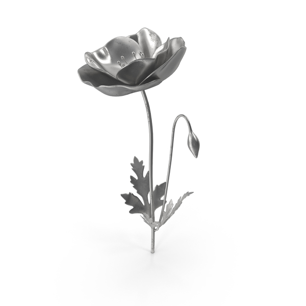 Silver Poppy PNG & PSD Images