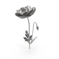 Silver Poppy PNG & PSD Images