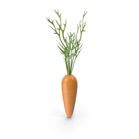 Cartoon Carrot PNG & PSD Images