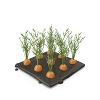 Stylized Carrots Plant PNG & PSD Images