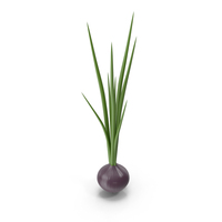 Cartoon Onion PNG & PSD Images