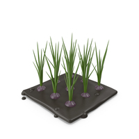 Stylized Onion Plant PNG & PSD Images